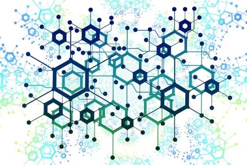 knowledge network