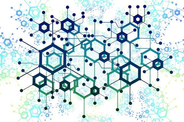 knowledge network